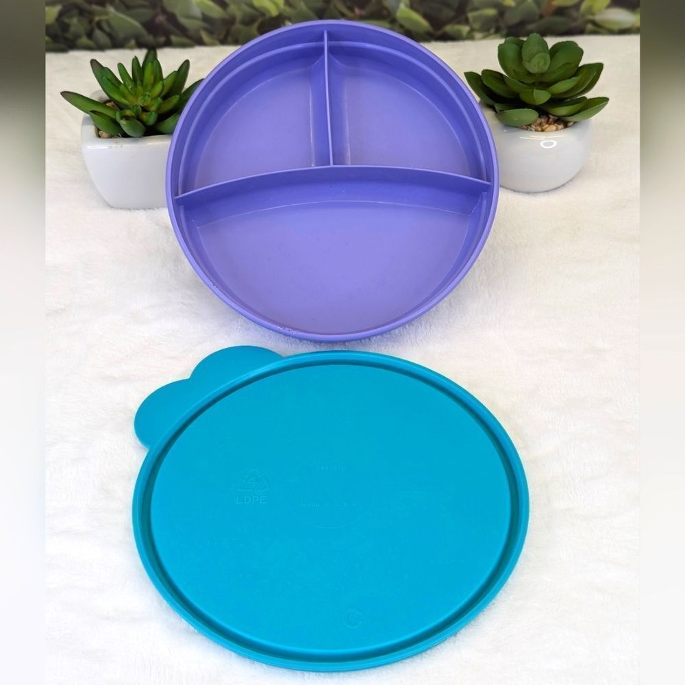 Tupperware TupperCare 2552A-2 Microwave Reheatable Divided Dish w/ 2541A-11 Lid
